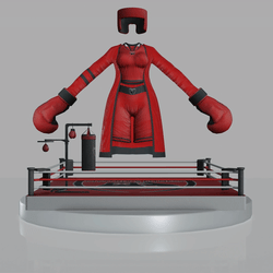 Boxing Gym