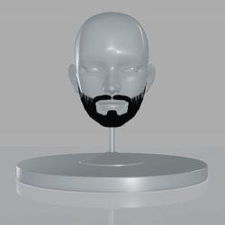 Beard Set
