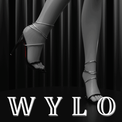Fancy Heels
