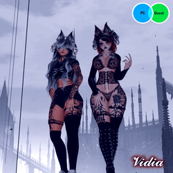 VIDIA (PC + Quest)