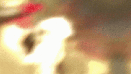 Indica (PC+Quest) Collab Model