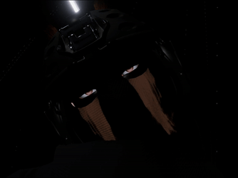 Kaiden (PC+Quest)