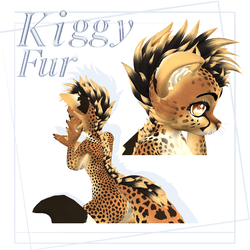 Kiggy Head To Tail Hair/Mane