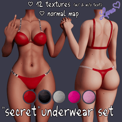 Secret Underwear Set