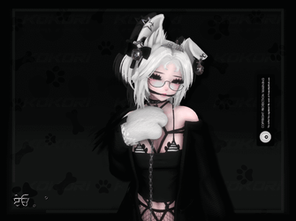 pretty the pup ⋆𐙚₊˚⊹♡