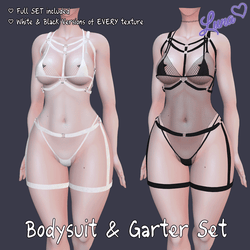 Bodysuit & Garter Set