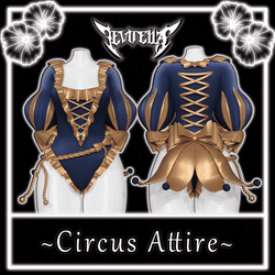 Circus Attire