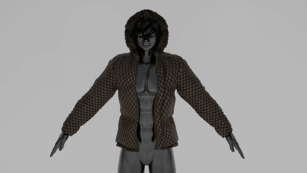 Puffer Jacket