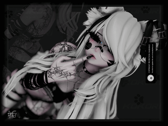 zero ꩜ .ᐟ˚⋆ ｡