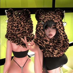 Bear Hoodie
