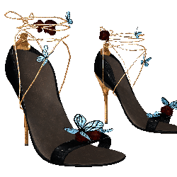 Butterfly shoes