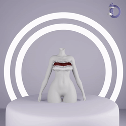 Dinzee's Christmas Toobtop