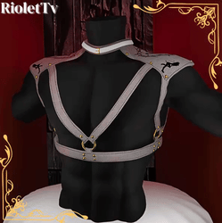 ★ Harness 2★ 