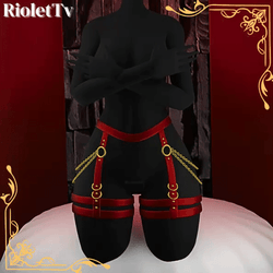 ★ Hip Harness 2★ 
