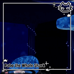 ✩.•🐋 ☽ .* Pabo the Whale Shark ✩.•🐋 ☽ .* Plush + Follower ✩.•🐋 ☽ .* VrChat Asset
