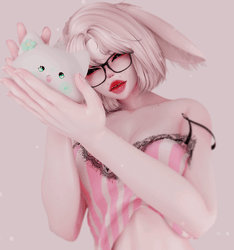 kitten dumpling ♡⸝⸝