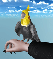 Vrchat Cockatiel Companion