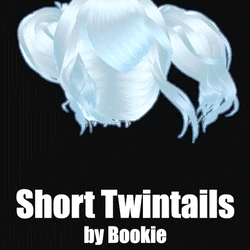 Short Twintails Hair