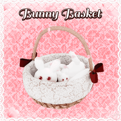 BUNNY BASKET ᕬᕬ | Server Free