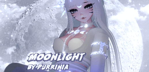 MOONLIGHT KITTEN + LIMITED SHARK EDITION