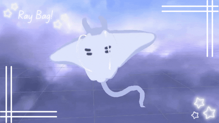 ୨୧ ꒰ Ray Bag! ꒱ ୨୧