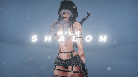 SHALOM | GOGOLOCO | PHYSBONES | PC