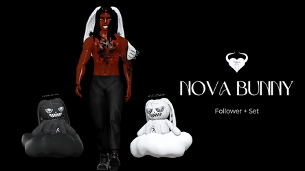 NOVA Bunny Follower + Set