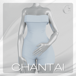 Comfy Bodysuit | Commercial License ♡ 