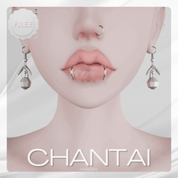 Pearls Earrings | SERVER FREE - Commercial License ♡ 