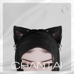 Kiggy Set | 24 HOURS SERVER FREE - Commercial License ♡ 