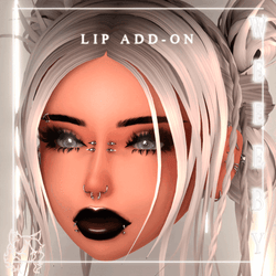 WBY Head Add-On : Lip Stain/Gloss