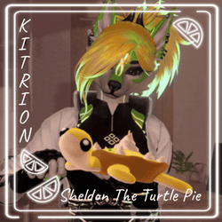 Sheldon the Turtle Pie Follower and Plushie