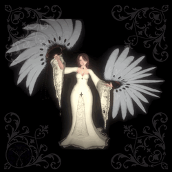 ☽ Elegance Fans  ☾