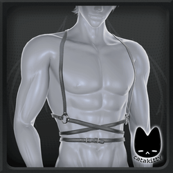 Wrapped Harness | ZIN EBOY & RP BASE