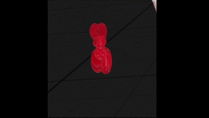 Balloon Dog Follower