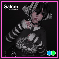 Salem ⋆ PC/Quest/Opti