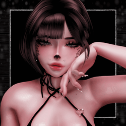 Meow Set.01