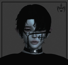 010 - Devotion set (600 member gift)