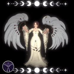 ☽ Elegance Fans  ☾