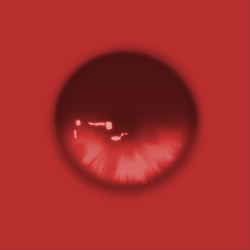 "AMOUR HEAD" EYE TEXTURES