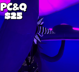 Night Shade (PC&Q)