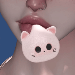 Mochi Kitty