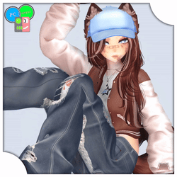 Kaiyo the Sports Husky