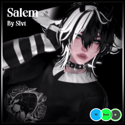 Salem ⋆ PC/Quest/Opti