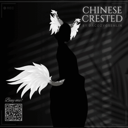 Chinese created set - Anybase - !VRCFURY!