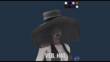 Veil Hat  ||  Server Free