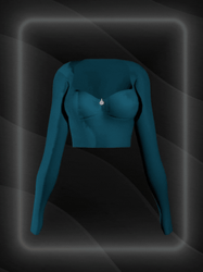 Basic Top (long Sleeve Crop Top)