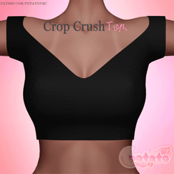 Crop Crush Top ♡