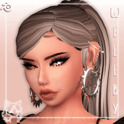 WA53. Hoops [VRChat Asset] Nitro