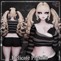 Delicate Pigtails Hair
